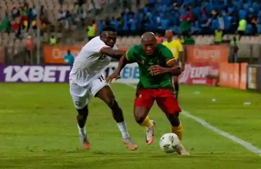 Harambee stars fall to Cameroon in AFCON qualifiers