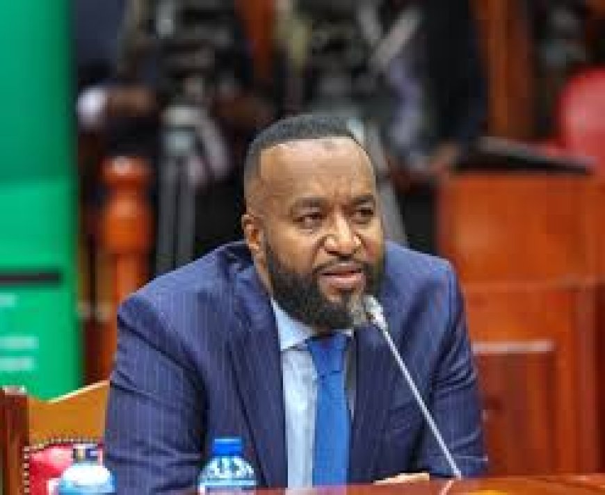 Joho criticizes contractor over delays