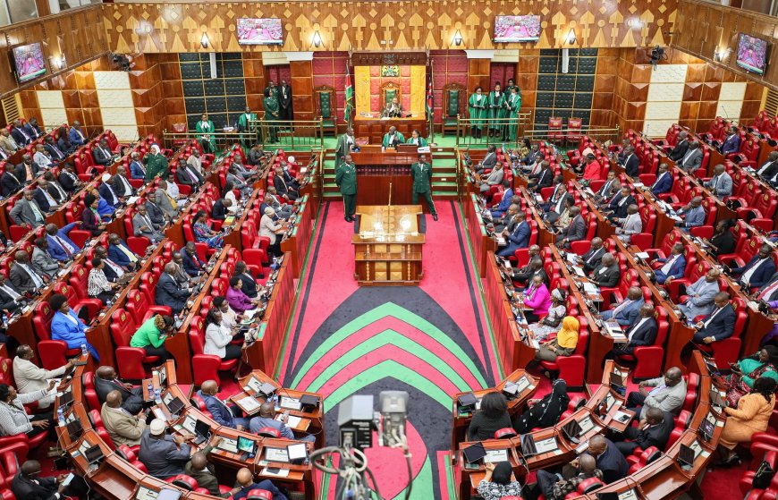 Senate’s email system crashes as Kenyans share views on extending presidential term limit