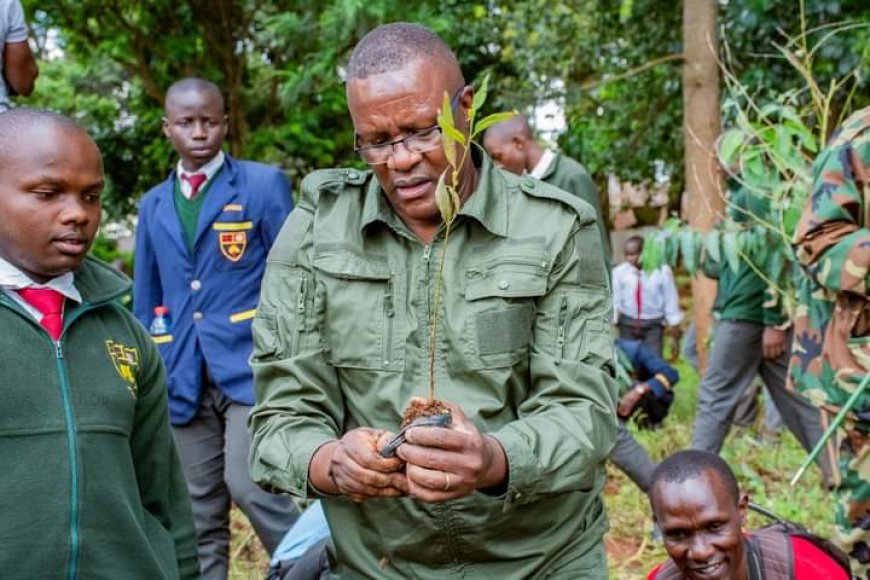 Owalo leads tree planting exercise at Maseno School