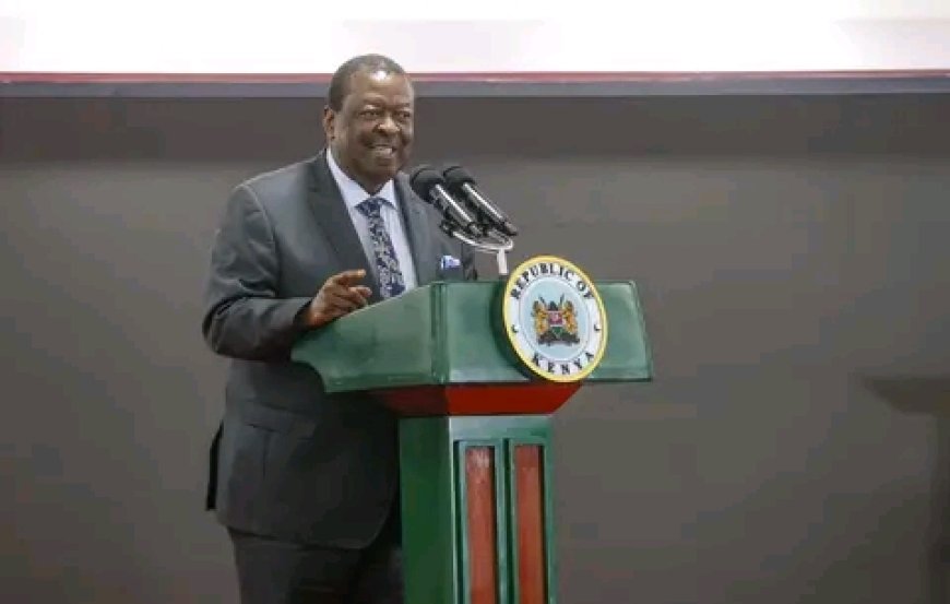 Mudavadi applauds Parliament's role in shaping foreign policy