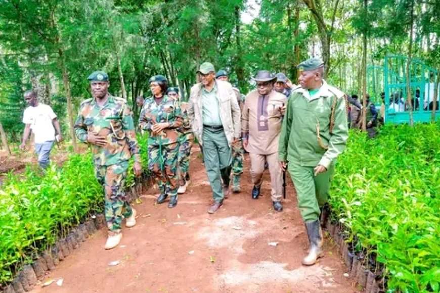 Government launches Integrated Landscape Management project to revitalize Mt. Elgon ecosystem