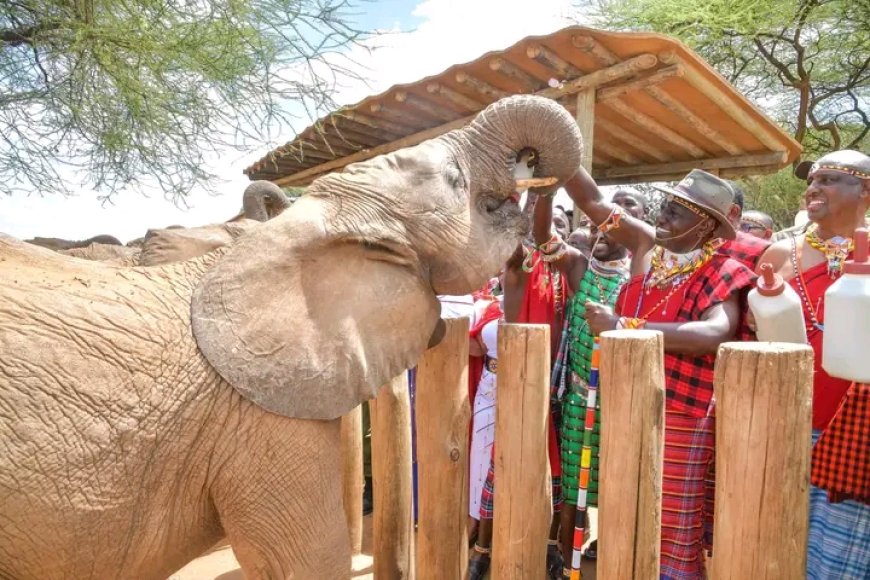 Government to launch Nationwide Livestock Vaccination program next year