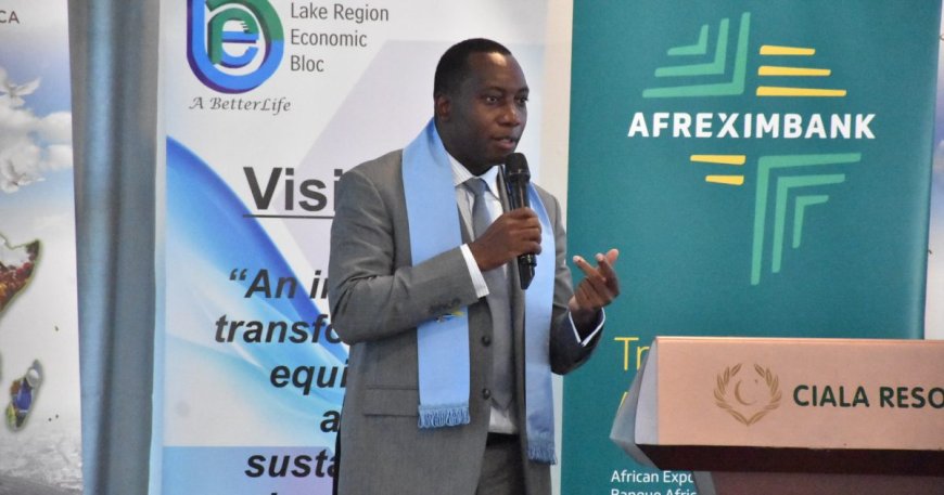 Afreximbank leads Investment Dialogue at fourth governments conference