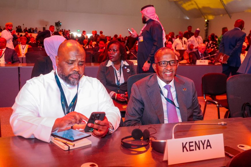 Kenya advocates for drought protocol at COP16 in Saudi Arabia