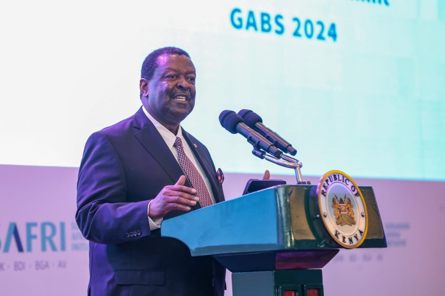 Kenya highlights economic potential at German-African Business Summit 2024