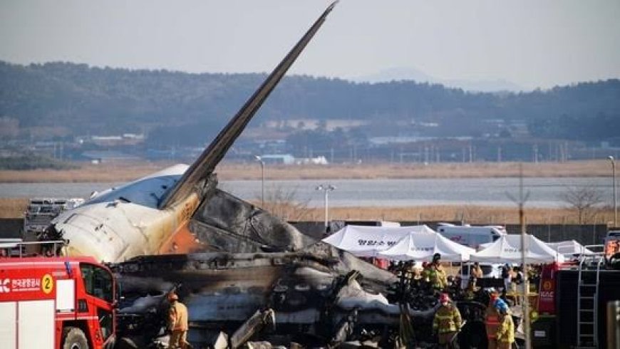 Falling Skies: Investigating the causes and consequences of Air crashes