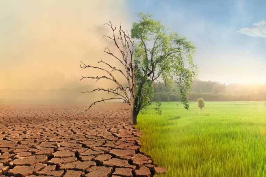 Climate change and agriculture: A call for action from Africa to the World