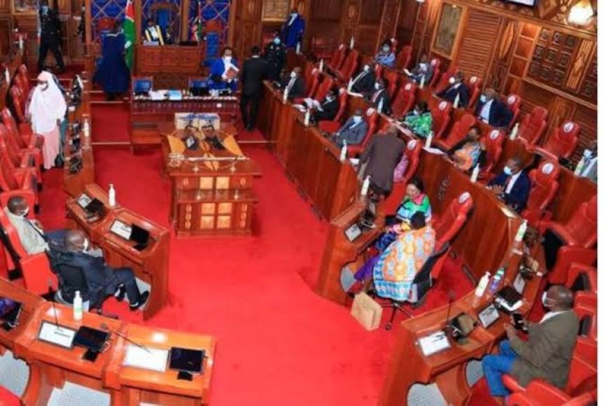 Senators must priotize equity in revenue sharing for counties