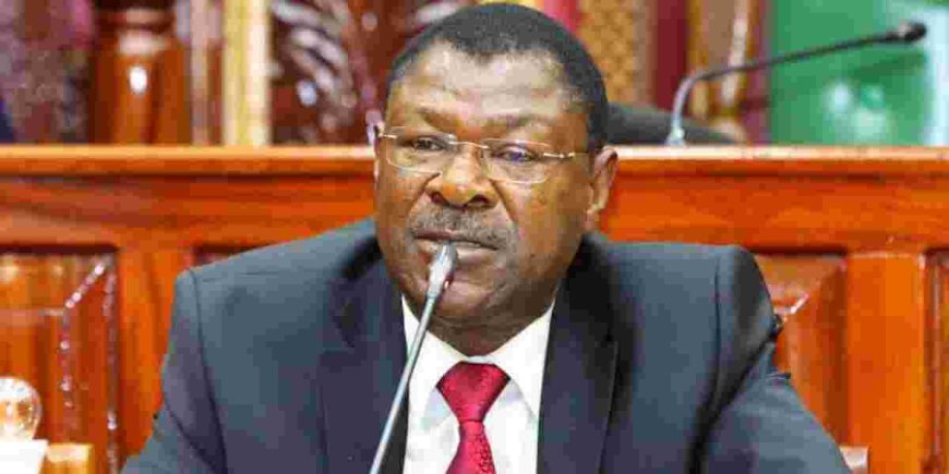 Speaker Wetang’ula’s Decision: Ignorance or Abuse of Power?