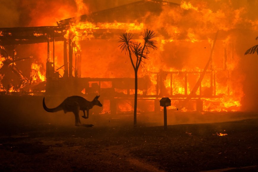 Wildfires, A Global Menace Ravaging Kenya