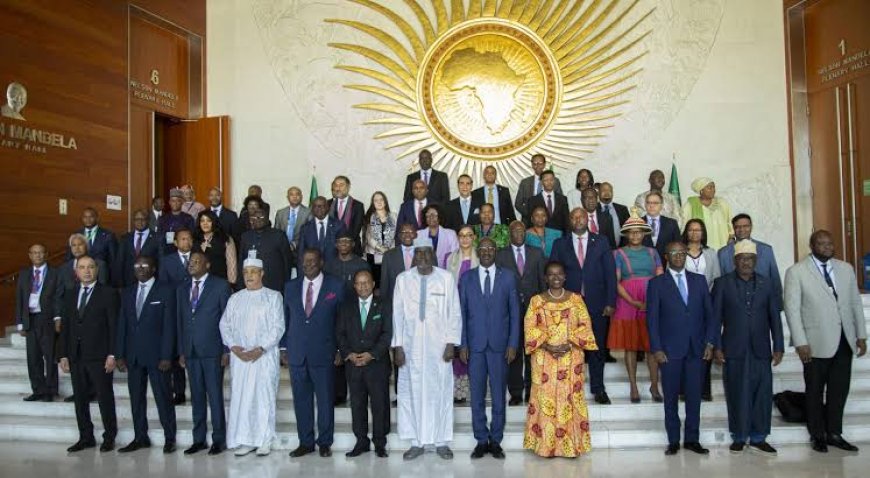 The African Union Commission Chairperson Election Process